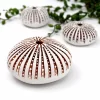 Kina (Medium) - Fern Flat Pottery - Image 2