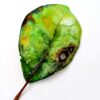 Pohutukawa Leaf (Summer Green) – Helen Jean