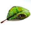 Pohutukawa Leaf (Summer Green) – Helen Jean - Image 2