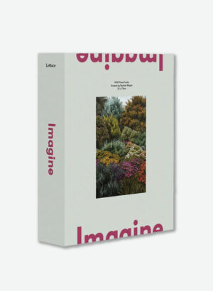 Puzzle - Rachael Mayne, Imagine - 1000 Pieces
