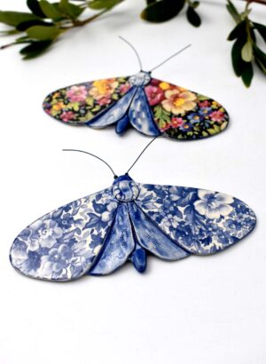Jasmine Moth - Kirsty Gardiner