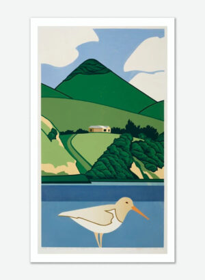 White Oystercatcher and Harbour Cone - Robin White