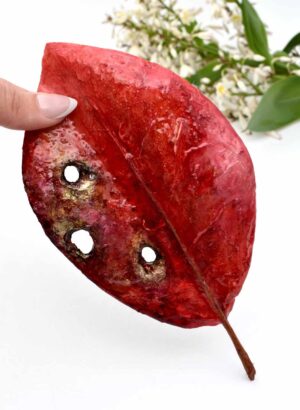 Pōhutukawa Leaf (Red) - Helen Jean
