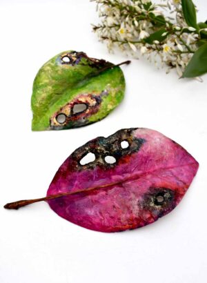 Pōhutukawa Leaf (Purple) - Helen Jean