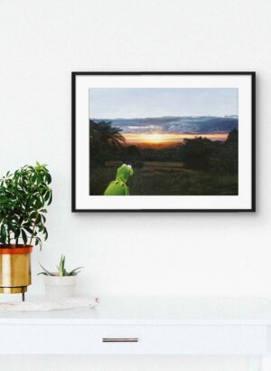 Kermit and Taranaki Sunset - Graham Kirk