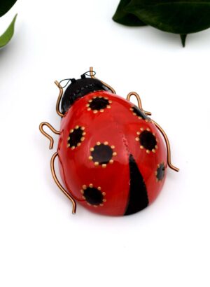 Ladybug - Kirsty Gardiner