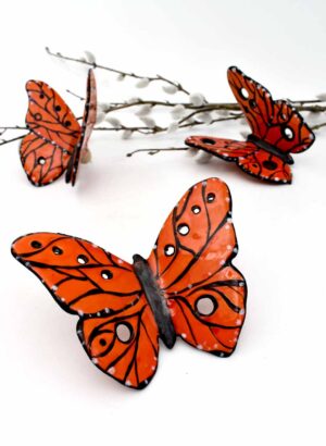 Monach Butterfly - Storm Davenport