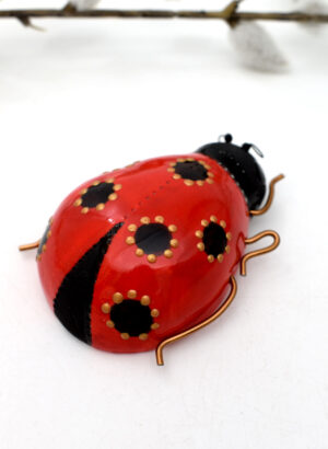 Ladybug - Kirsty Gardiner