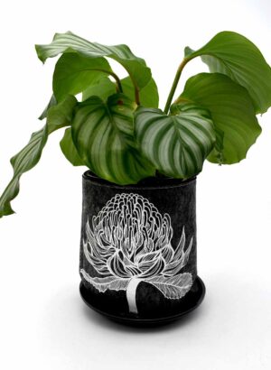 Ecofelt Grow bag (Waratah) - Jo Luping