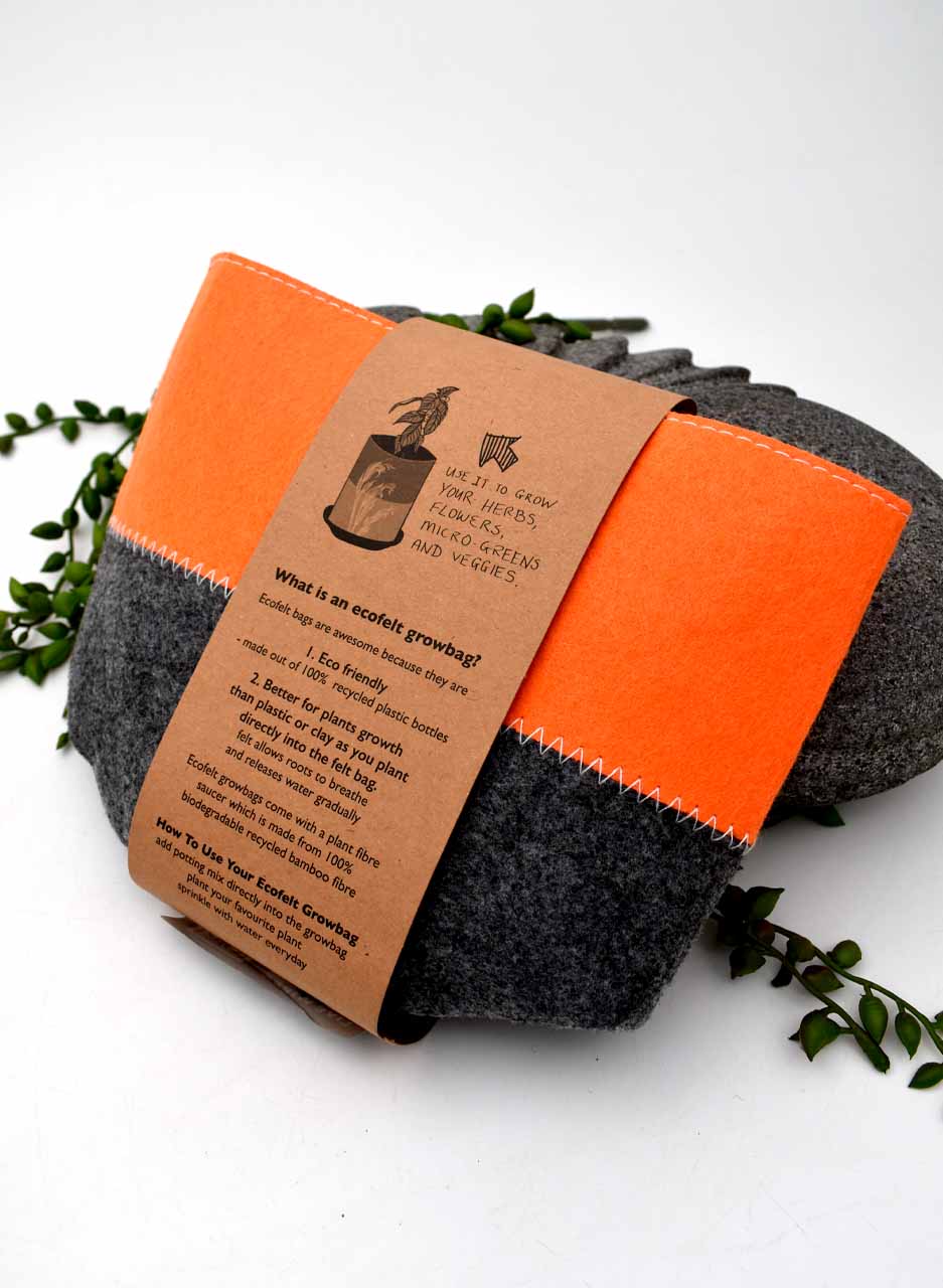 Ecofelt Grow bag (Harakeke) - Jo Luping - Image 2