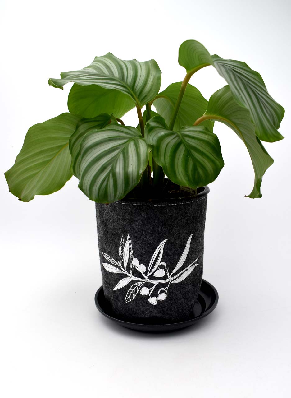 Ecofelt Grow bag (Olive) - Jo Luping