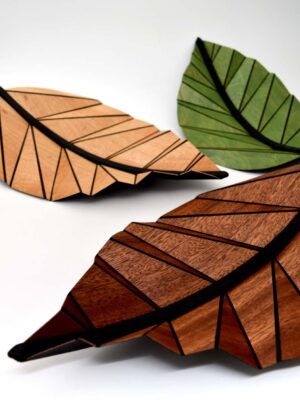 Leaf Lines (NZ Tawa) - Asheley Elizabeth