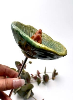 Aqua Poppy - Wilma Jennings