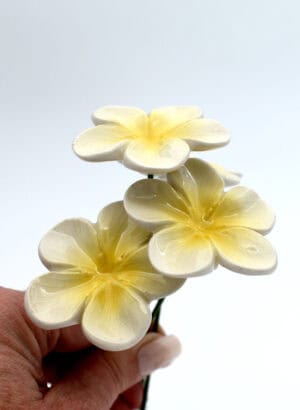Frangipani - Michelle Bow