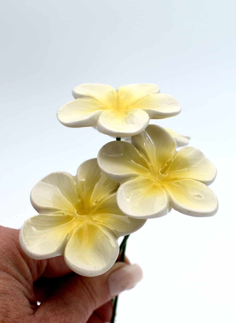 Frangipani - Michelle Bow