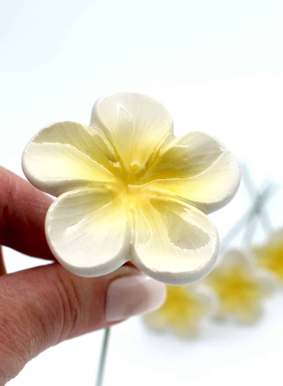 Frangipani - Michelle Bow - Image 2