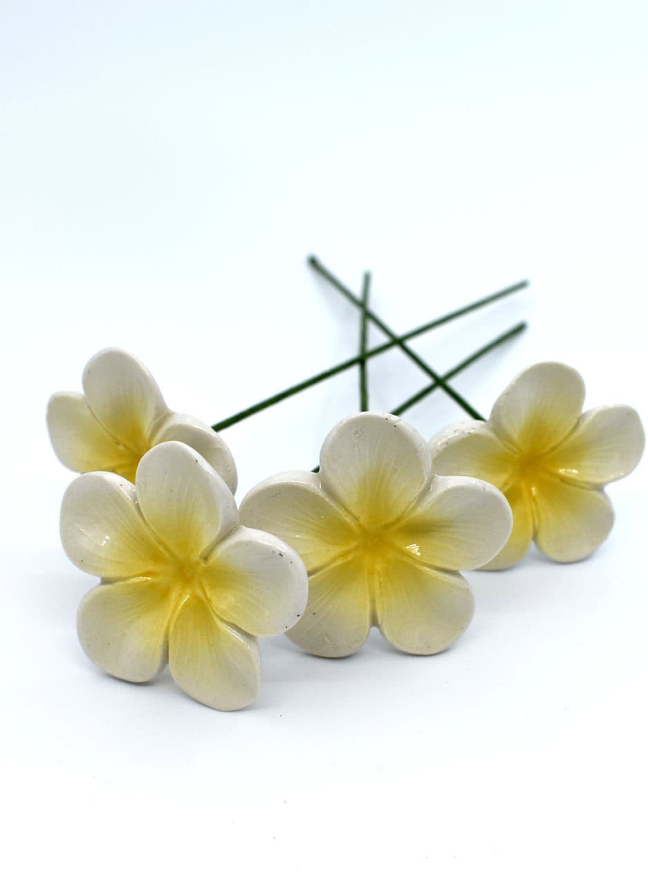 Frangipani - Michelle Bow - Image 3