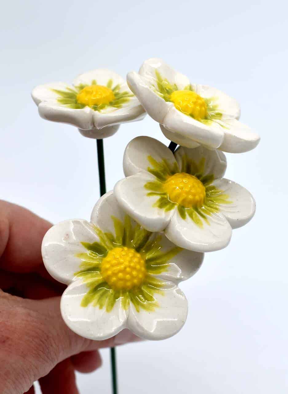 White Zinnia - Michelle Bow