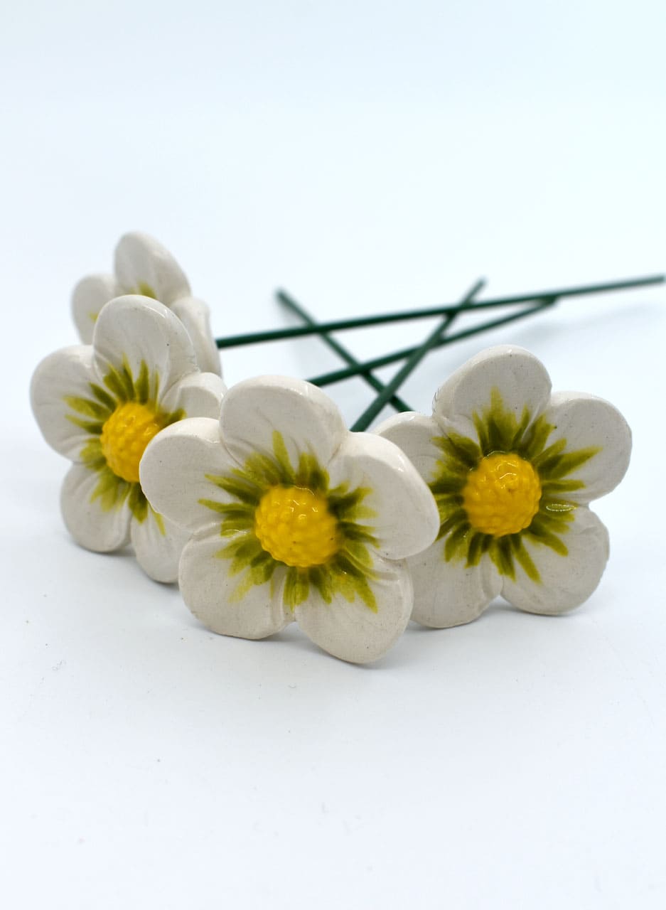 White Zinnia - Michelle Bow - Image 3