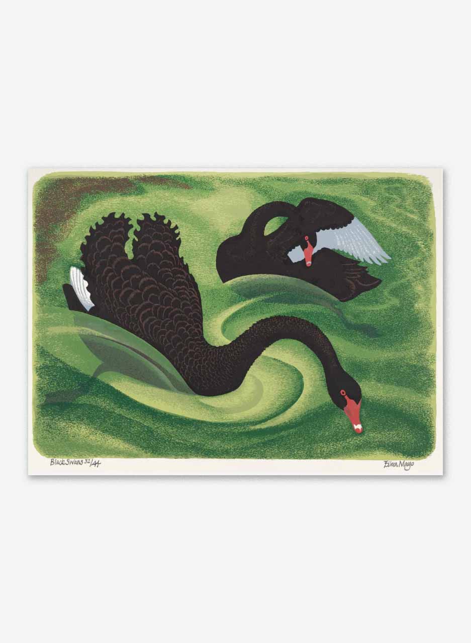 Black Swans - Elleen Mayo - Image 3