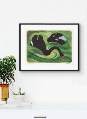 Black Swans - Elleen Mayo