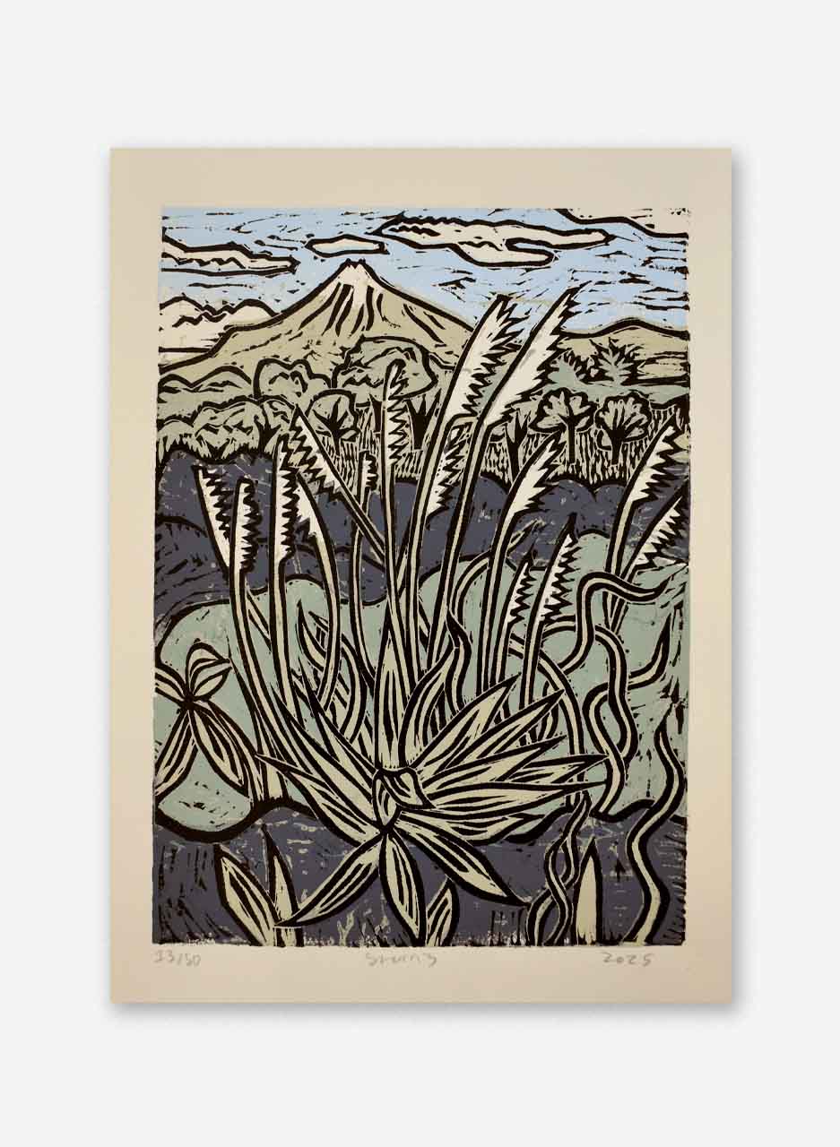 Maunga Taranaki (Limited Edition Screen Print) - Stuart Morris - Image 2