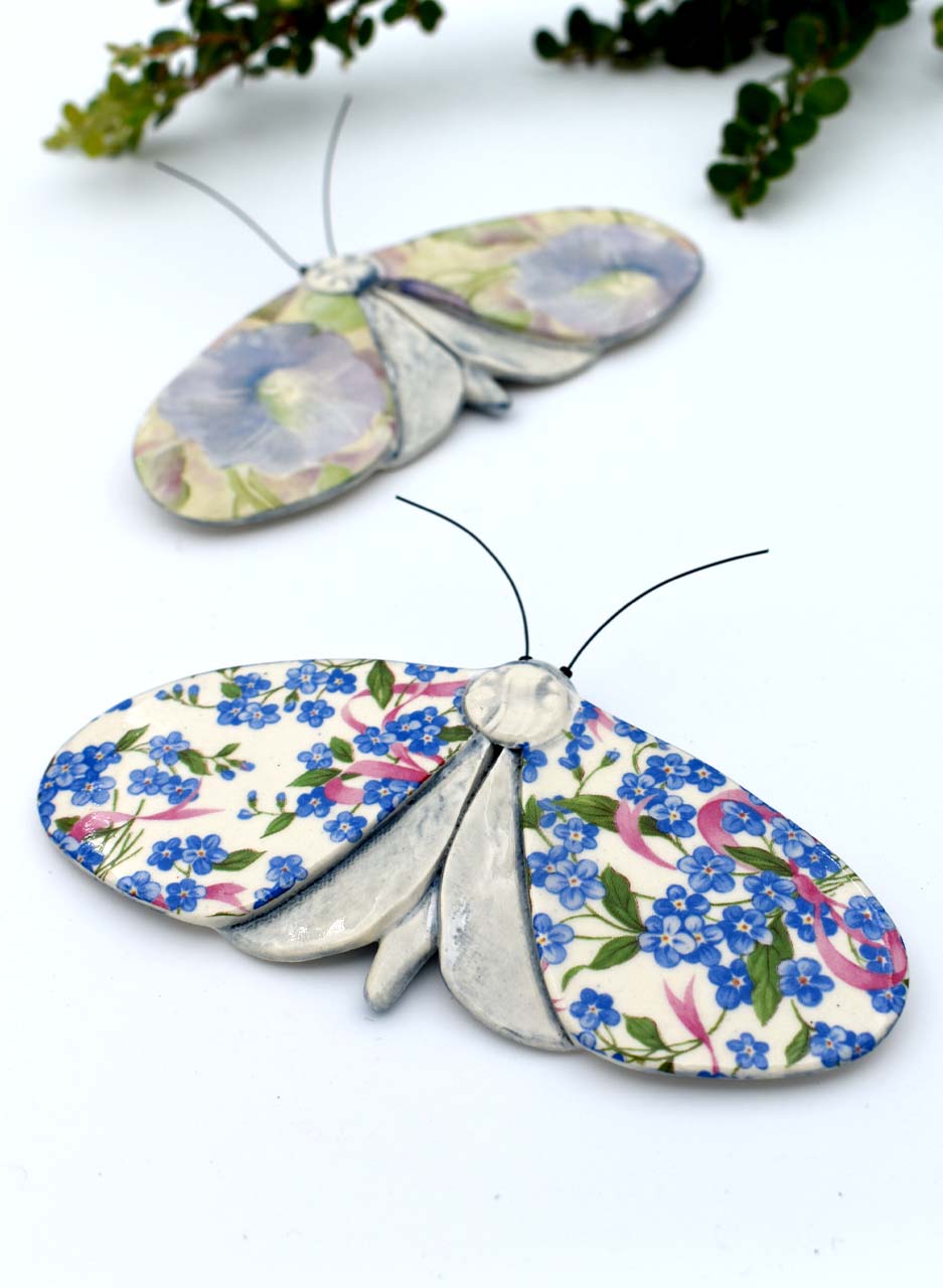 Forget-Me-Not Moth - Kirsty Gardiner