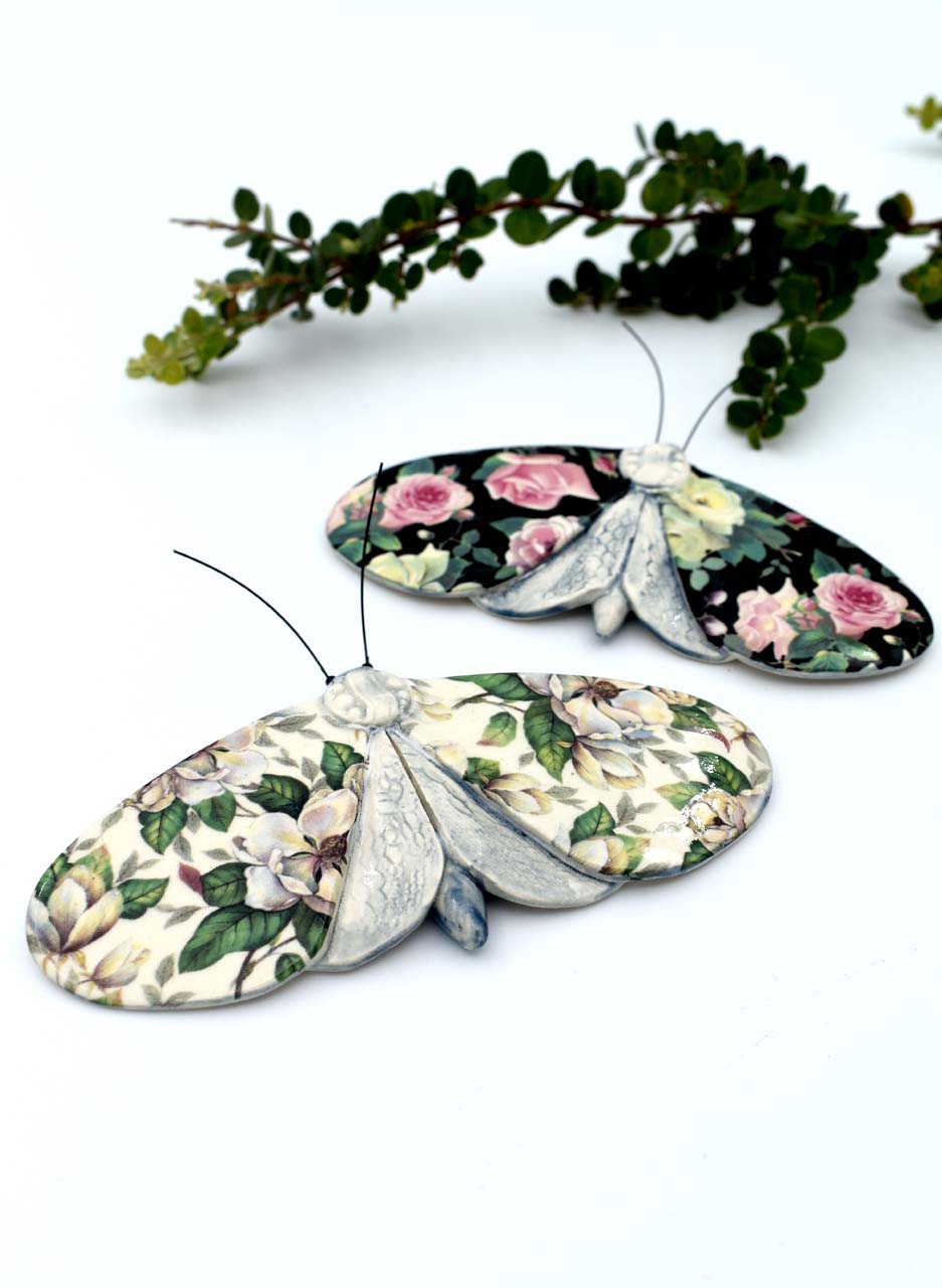 Magnolia Moth - Kirsty Gardiner