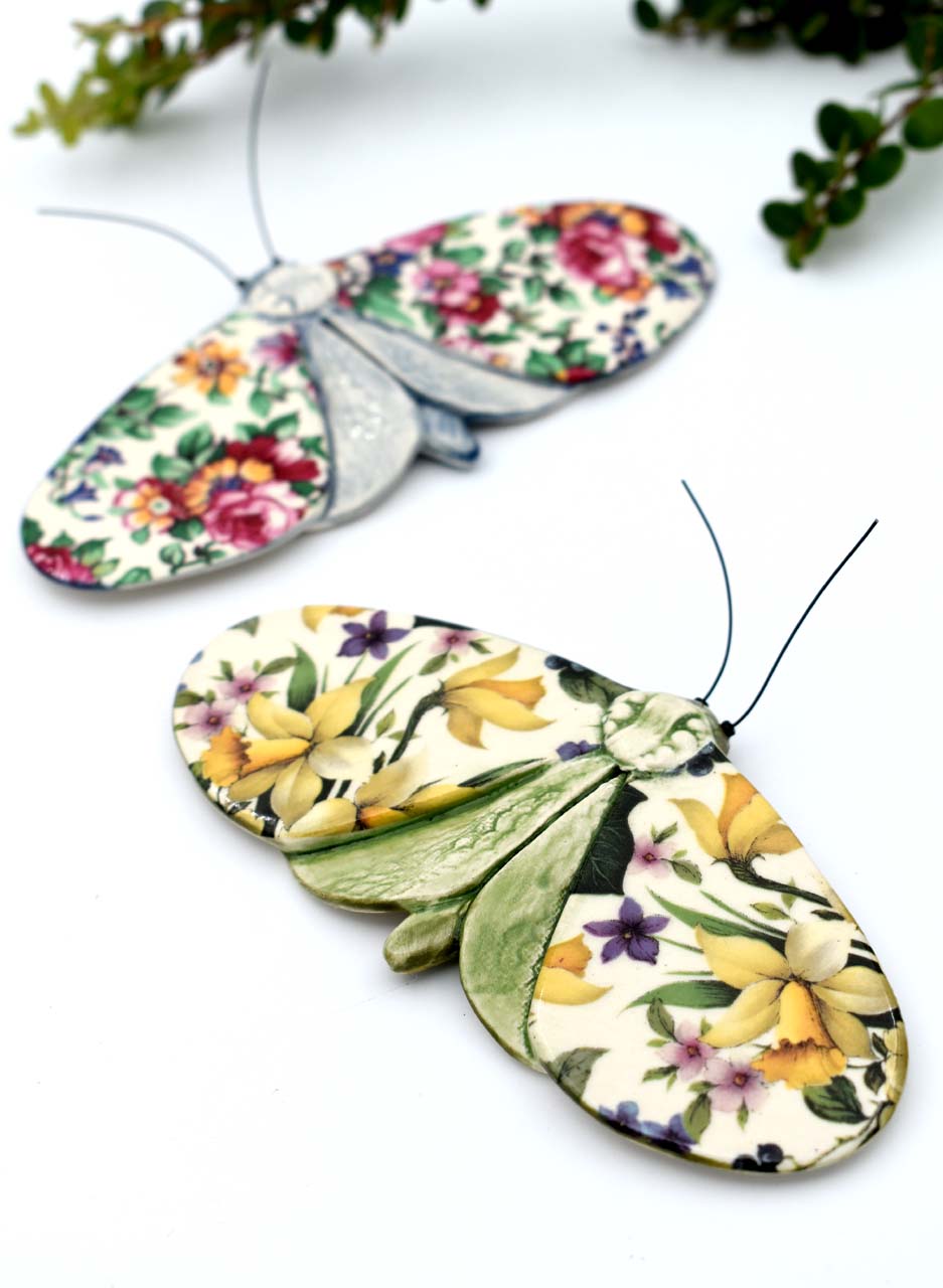 Daffodil Moth – Kirsty Gardiner