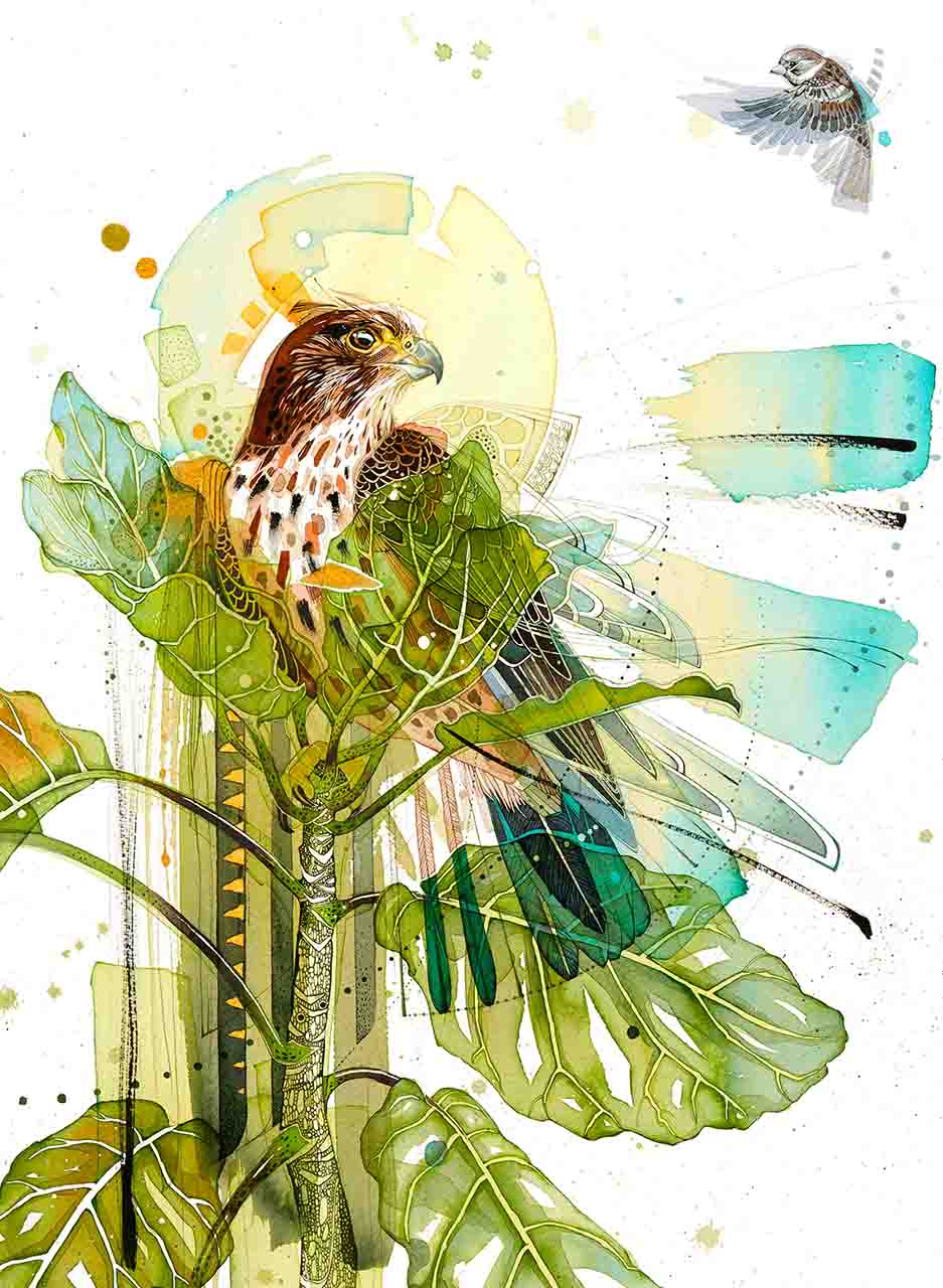 Falcon Backyard (Original) - Rachel Walker - Image 2