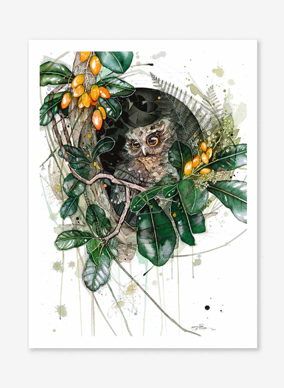 Morepork Karaka (Limited Edition Print) - Rachel Walker - Image 2