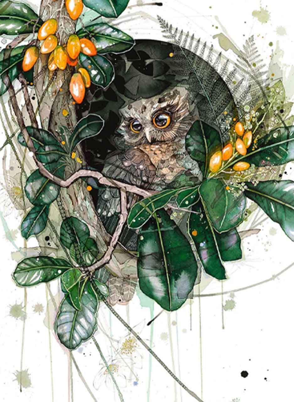 Morepork Karaka (Limited Edition Print) - Rachel Walker - Image 3