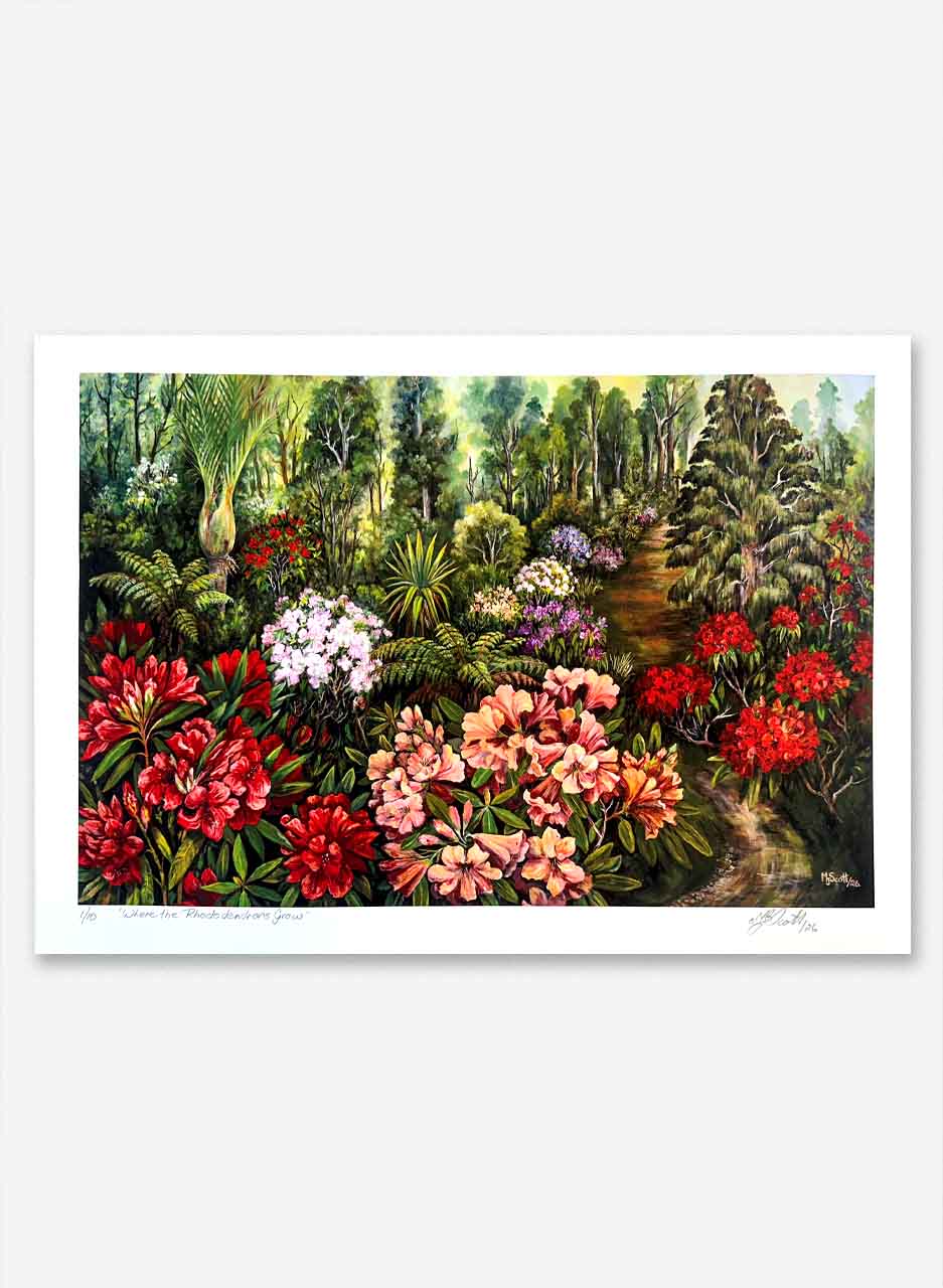 Where the Rhododendrons Grow (Print) - Margaret Scott - Image 2