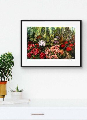 Where the Rhododendrons Grow (Print) - Margaret Scott