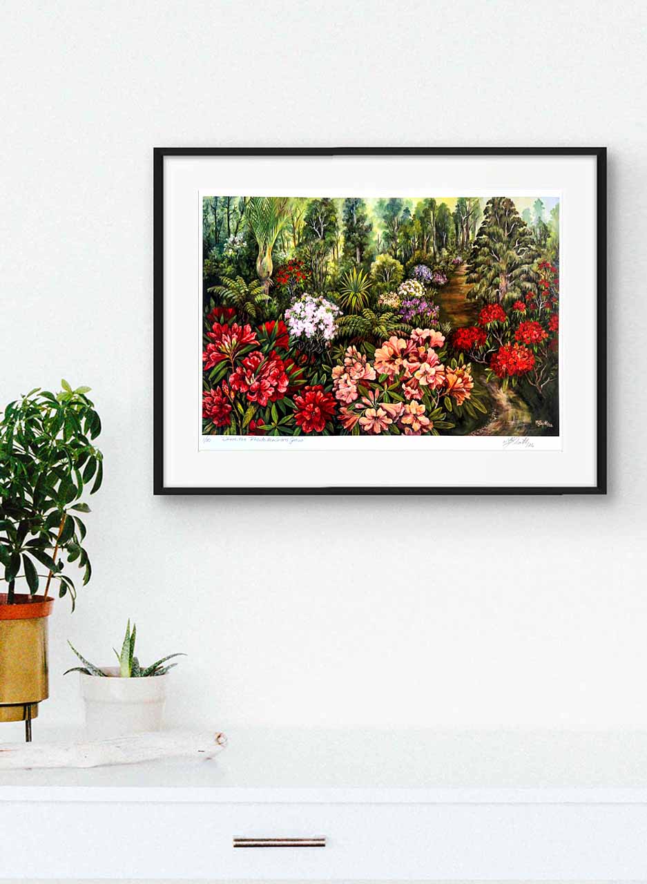 Where the Rhododendrons Grow (Print) - Margaret Scott