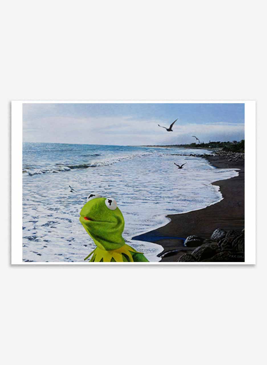 Kermit at East End Beach - Graham Kirk - Image 2