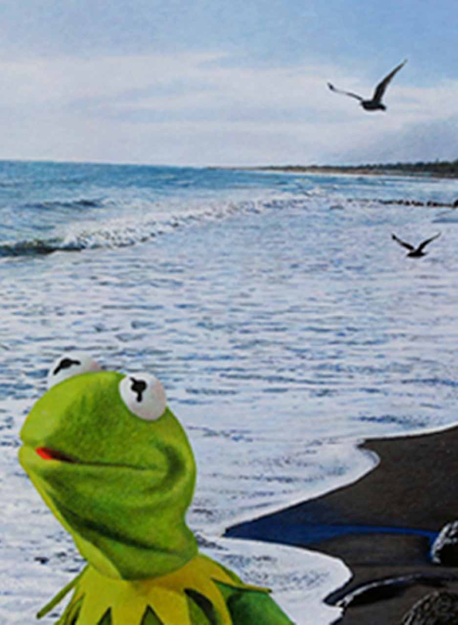 Kermit at East End Beach - Graham Kirk - Image 3