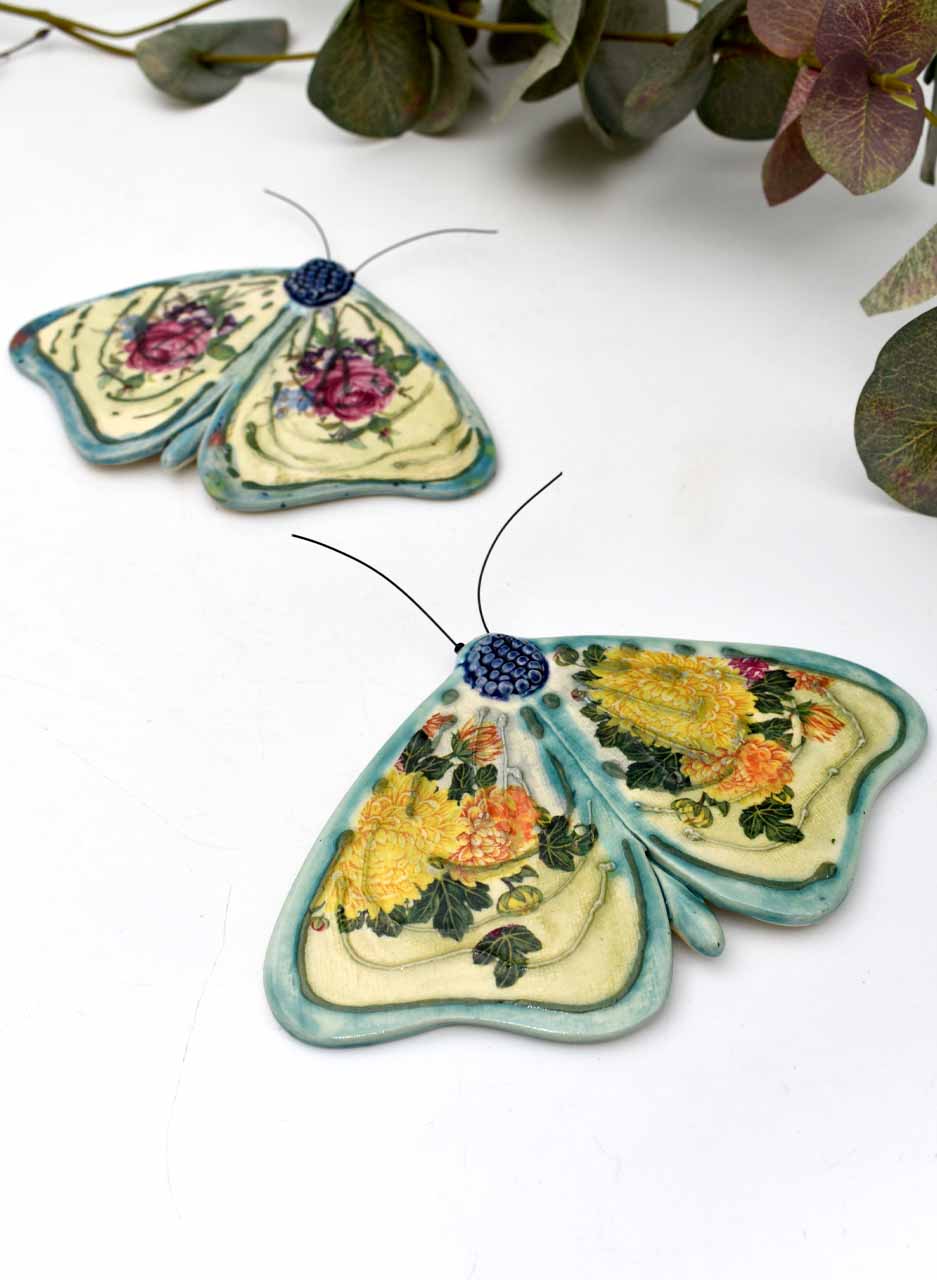 Kimono Moth - Kirsty Gardiner