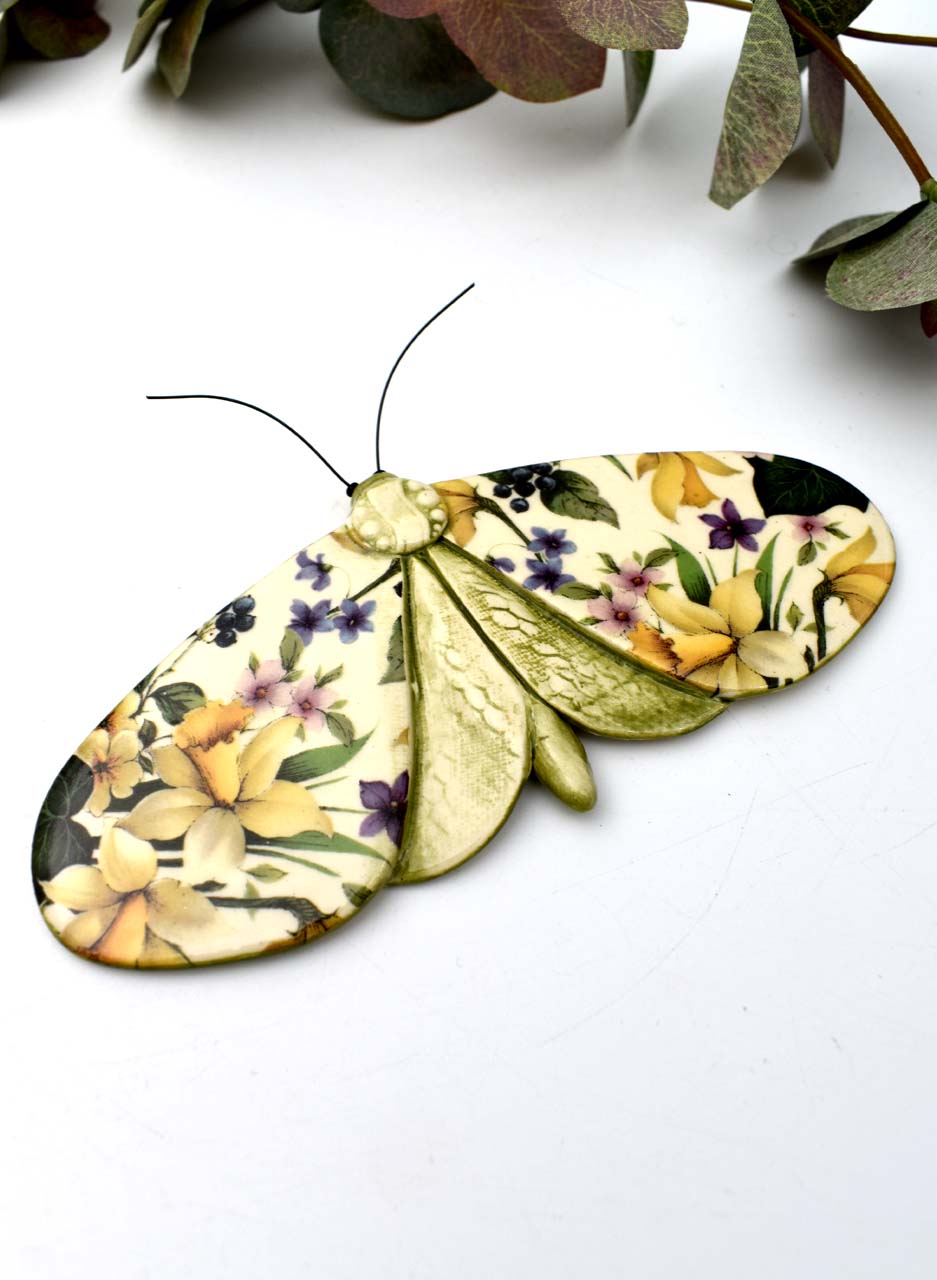 Daffodil Moth - Kirsty Gardiner - Image 4