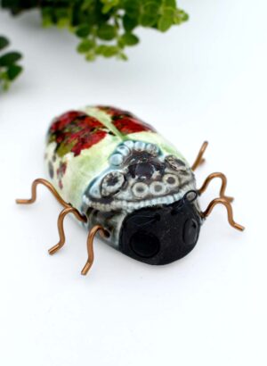 Apollo Beetle - Kirsty Gardiner