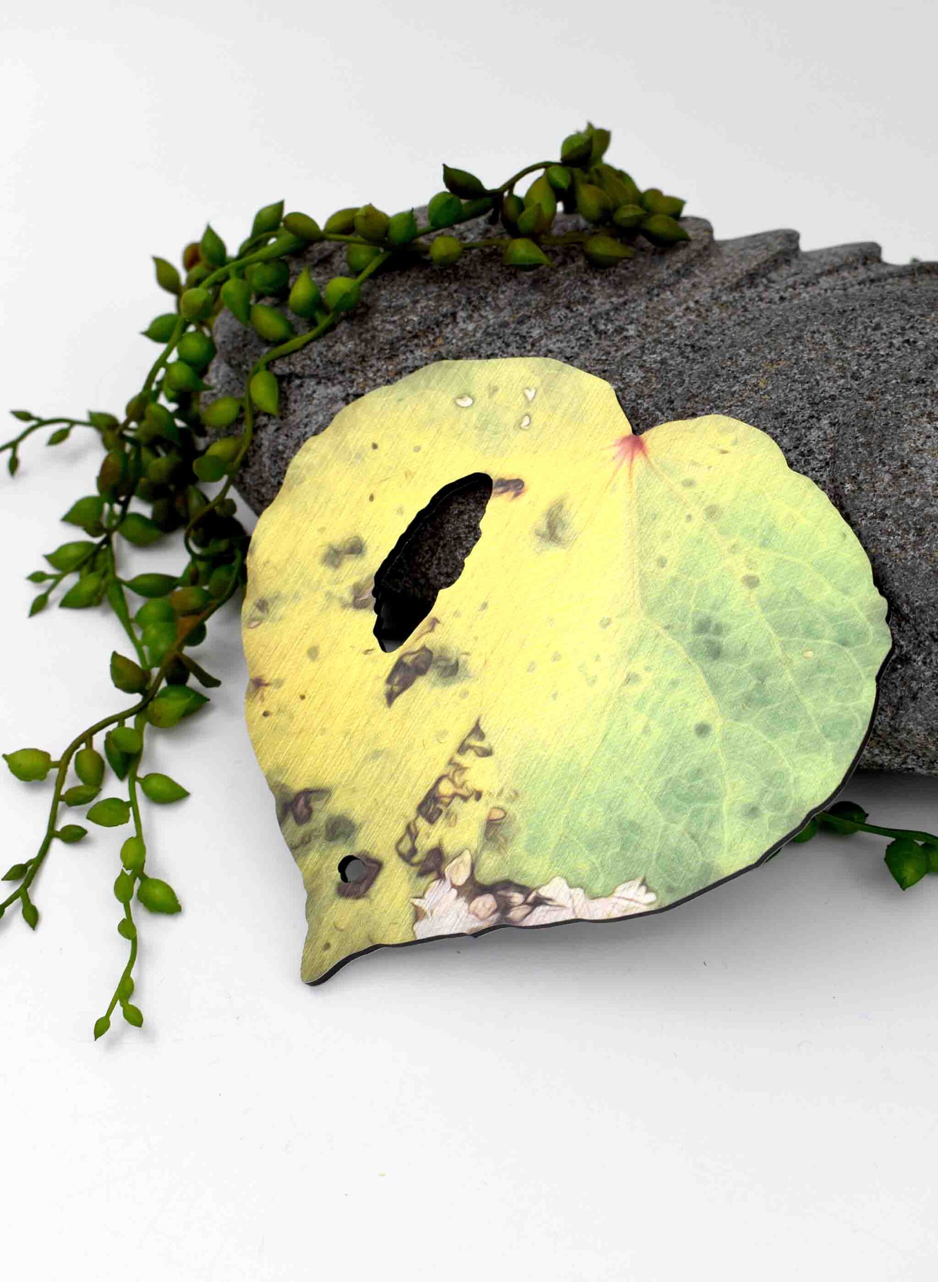 Kawakawa leaf Design 1 (Printed ACM)