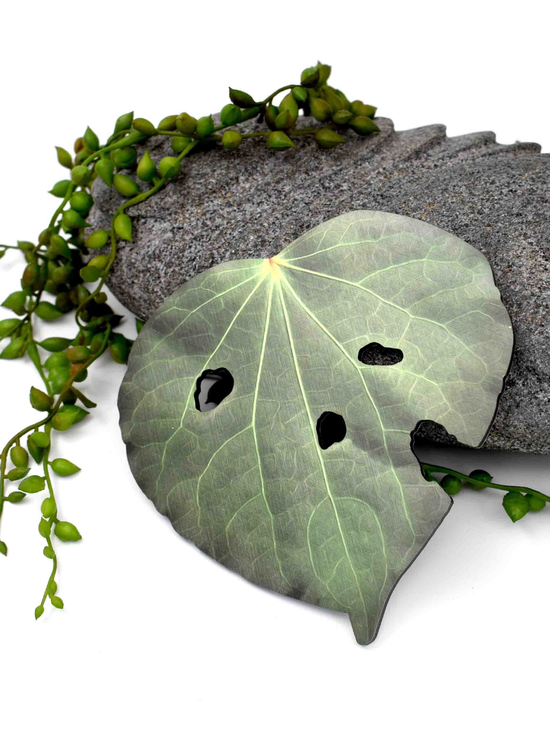 Kawakawa Leaf, Design 2 (Printed ACM)