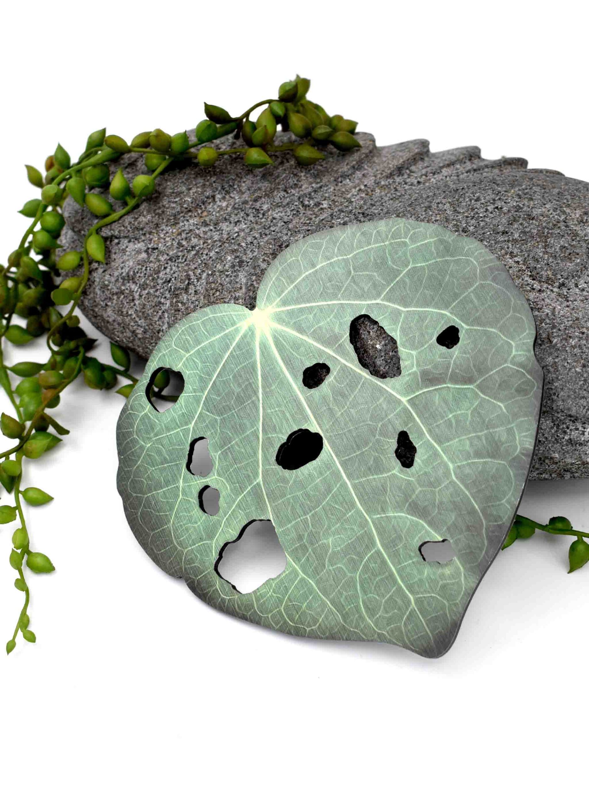 Kawakawa Leaf, Design 3 (Printed ACM)