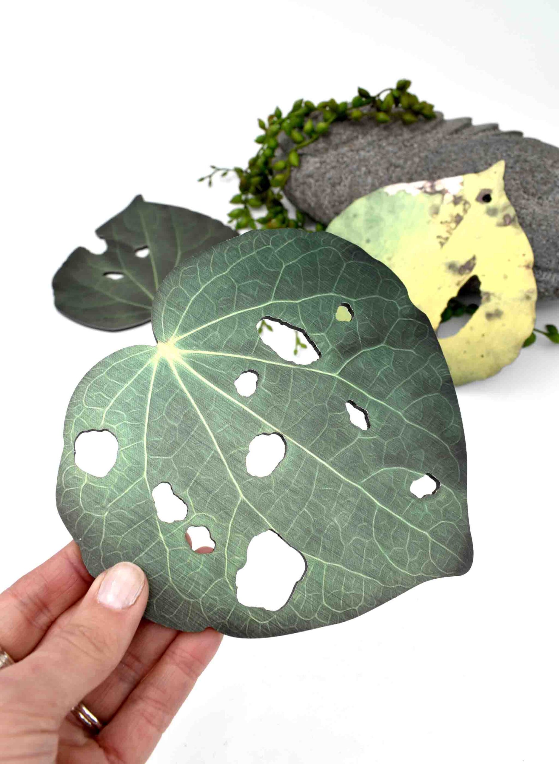 Kawakawa Leaf, Design 3 (Printed ACM) - Image 2
